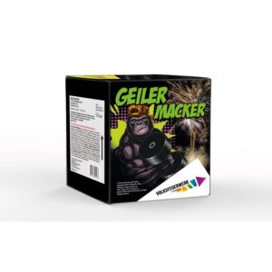 Silvester ~ Geiler Macker 19-Schuss-Feuerwerk-Batterie