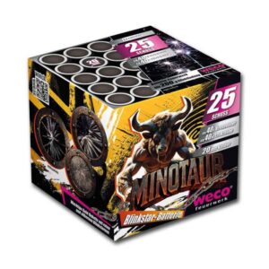 Silvester ~ Minotaur 25-Schuss-Feuerwerk-Batterie
