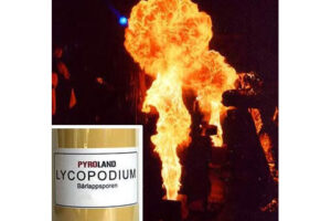 Silvester ~ Schwer Lycopodium Qualitätsstufe Schwer 1Kg