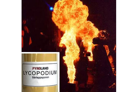Silvester ~ Schwer Lycopodium Qualitätsstufe Schwer 1Kg