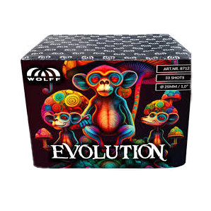 Silvester ~ Evolution 33-Schuss-Feuerwerk-Batterie